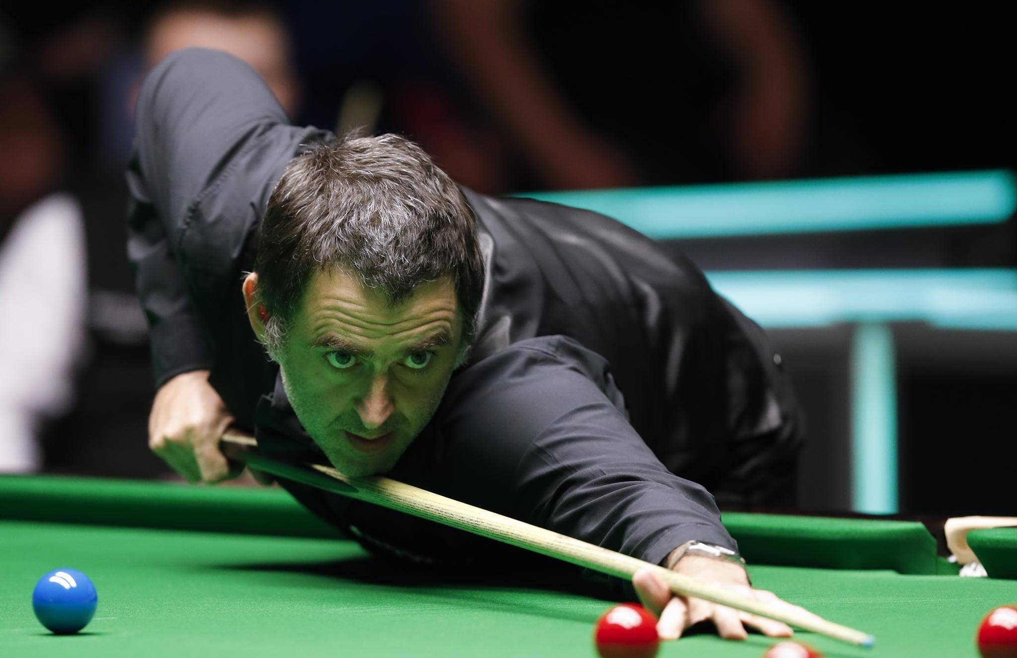 这一选择引 这一选择引