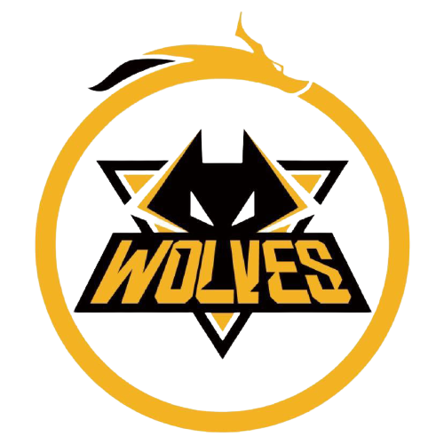 这两支实力 这两支实力